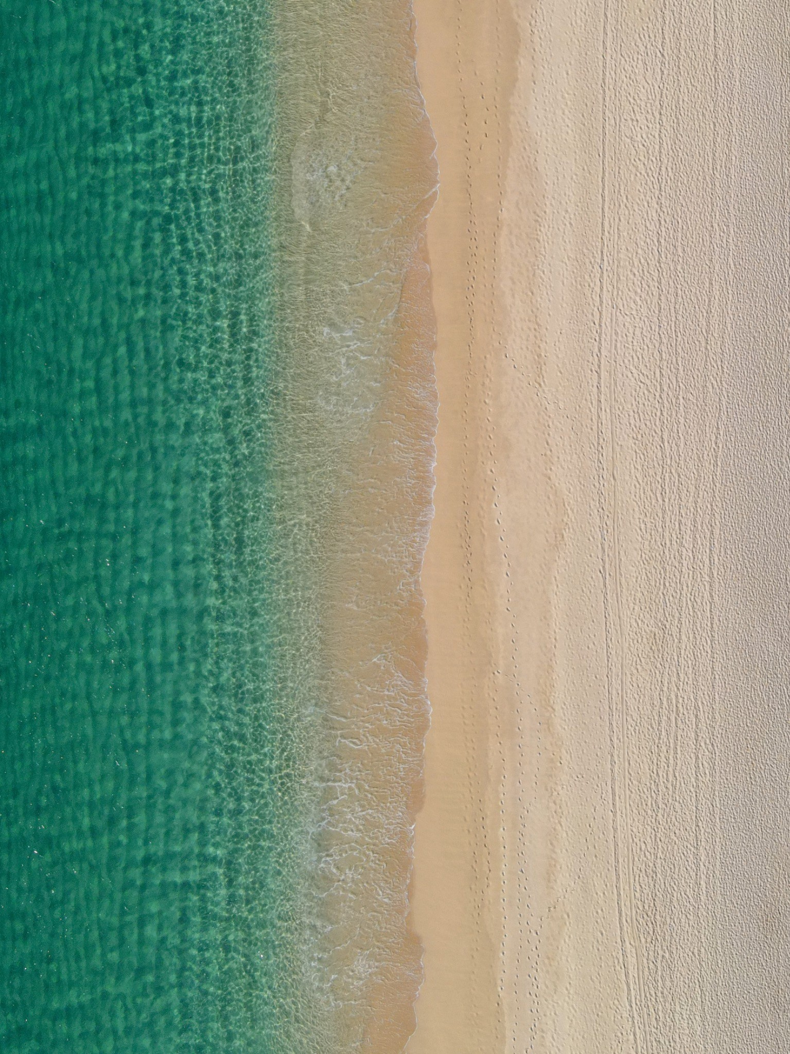 Shoreline — photograph by Paul Towers
