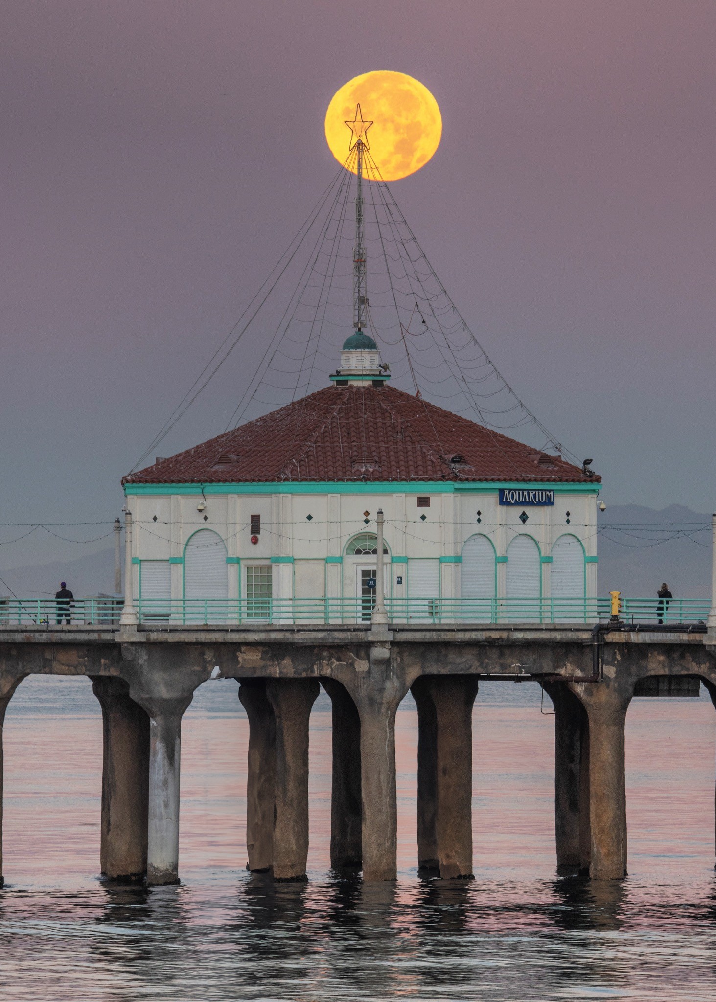 December Moonset — photograph by Paul Towers