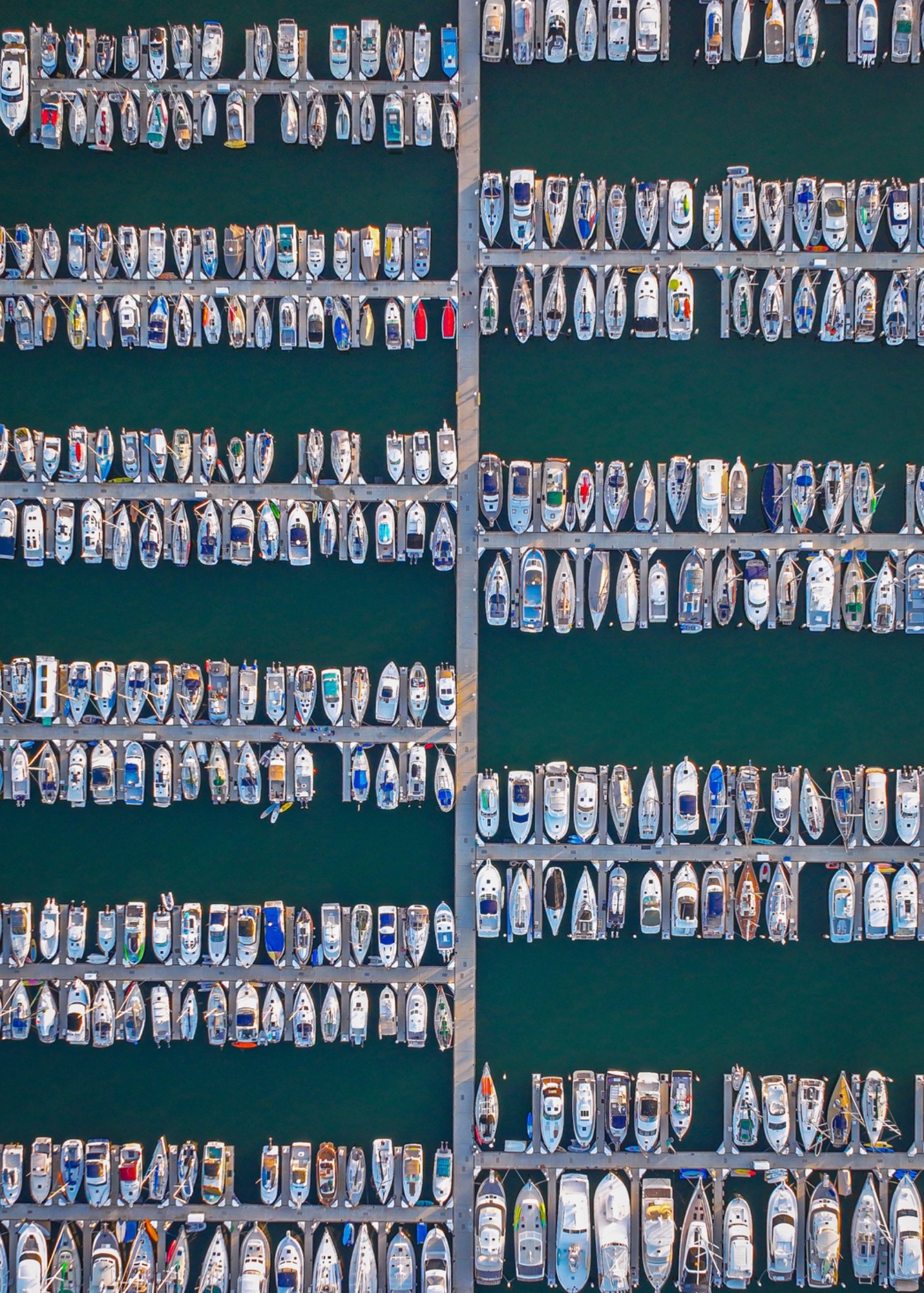 Marina Patterns — photograph by Paul Towers