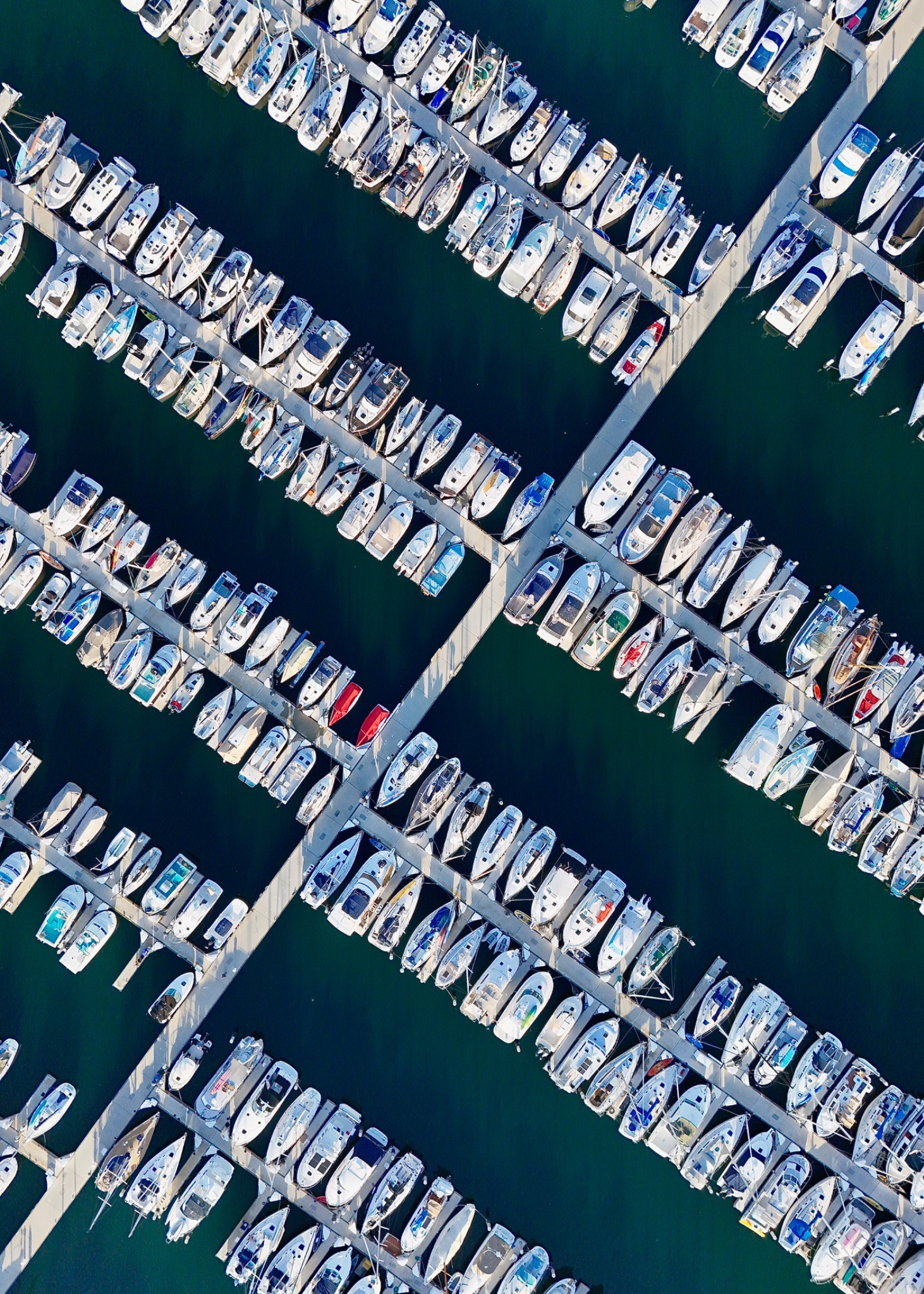 King Harbor — photograph by Paul Towers