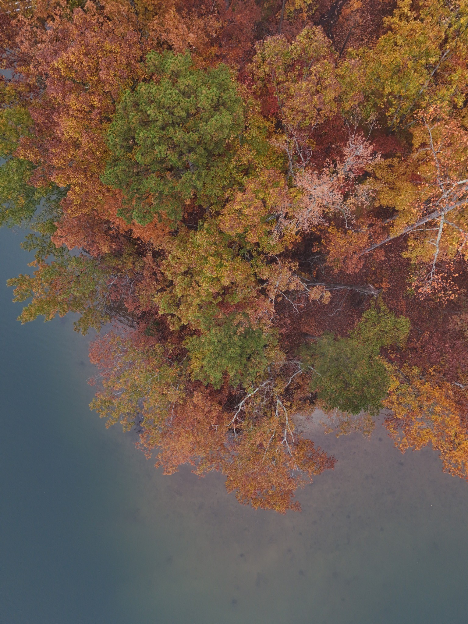 Autumn from Above — photograph by Paul Towers