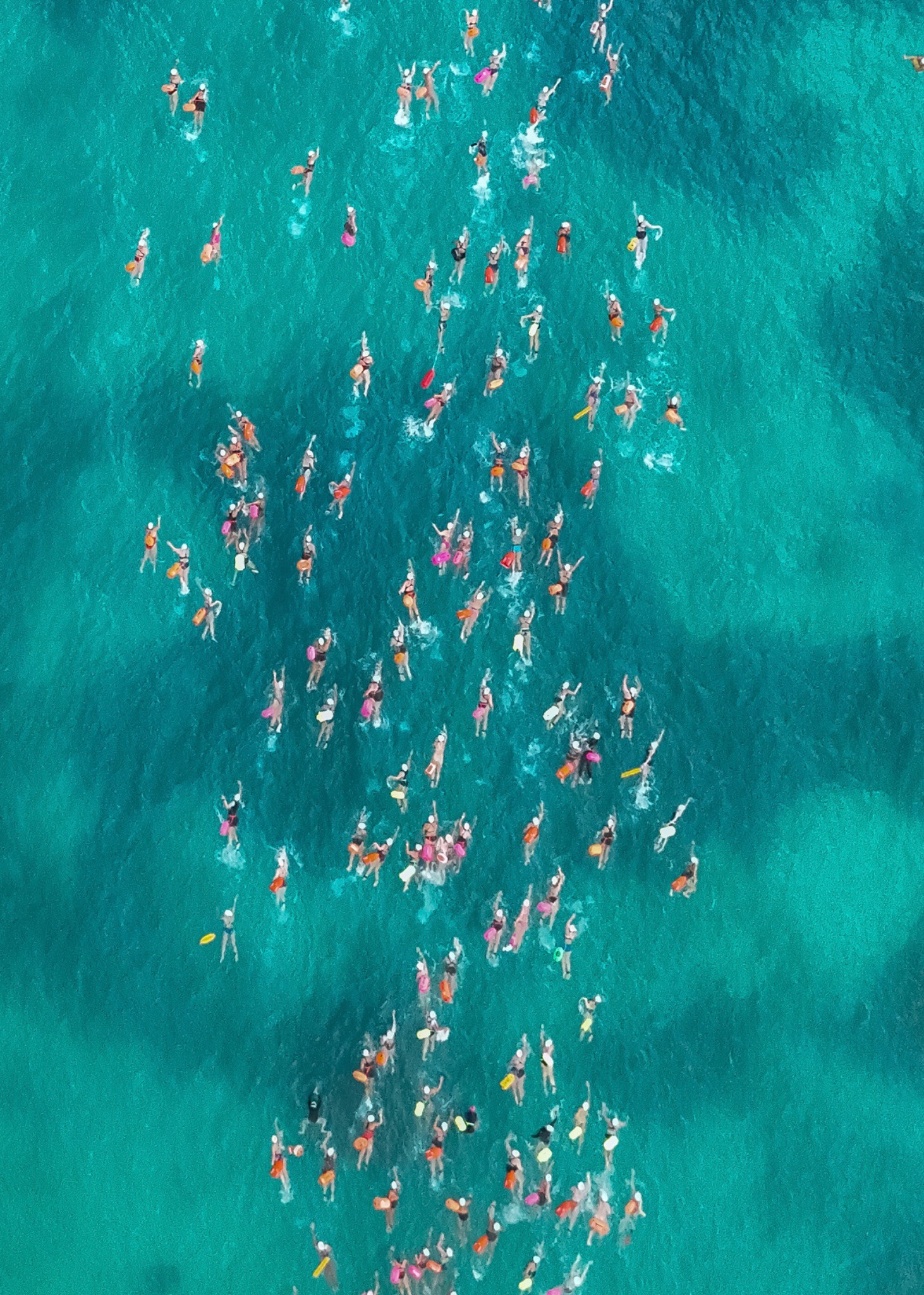 Open Water Swim — photograph by Paul Towers