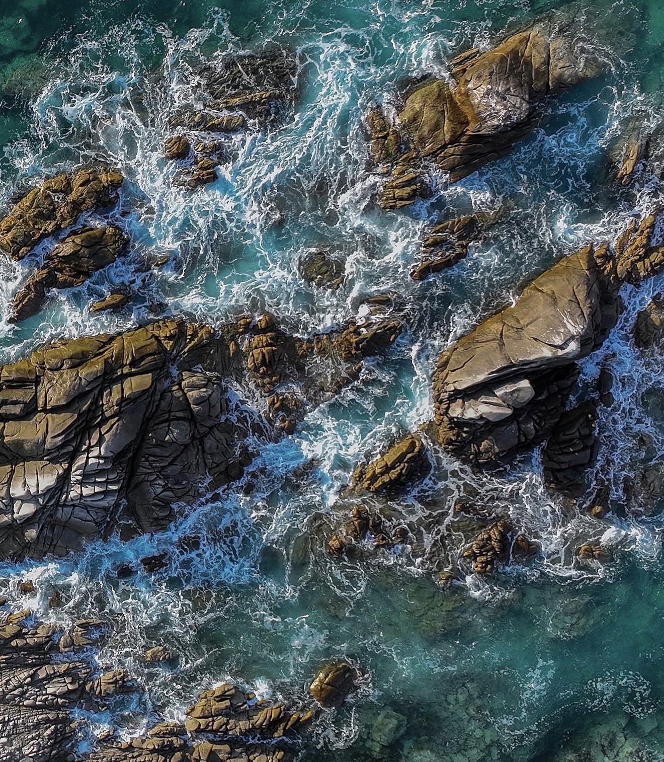 Central Coast — photograph by Paul Towers