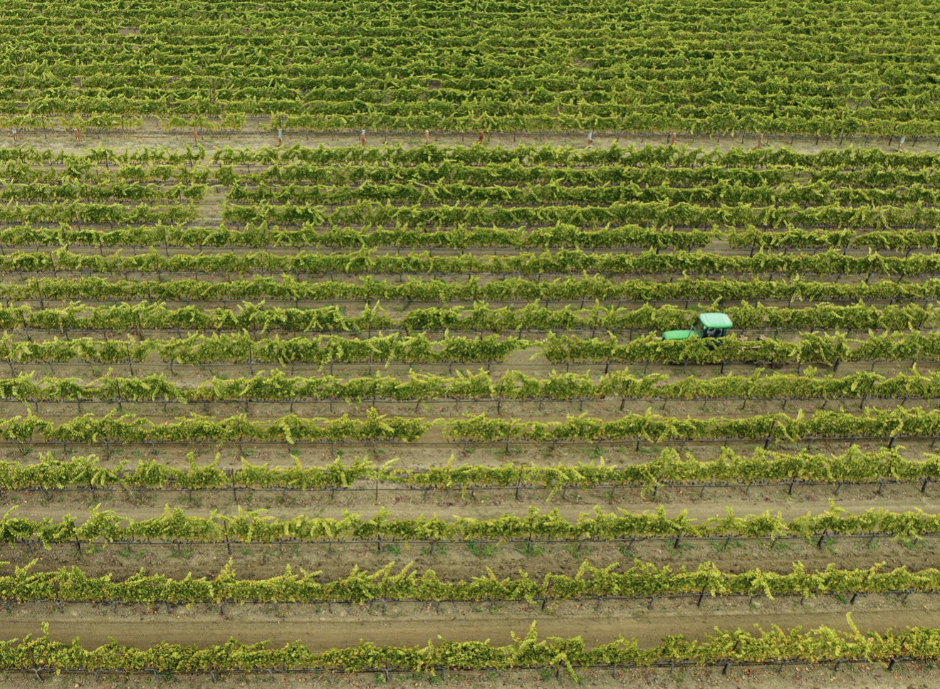Harvest — photograph by Paul Towers