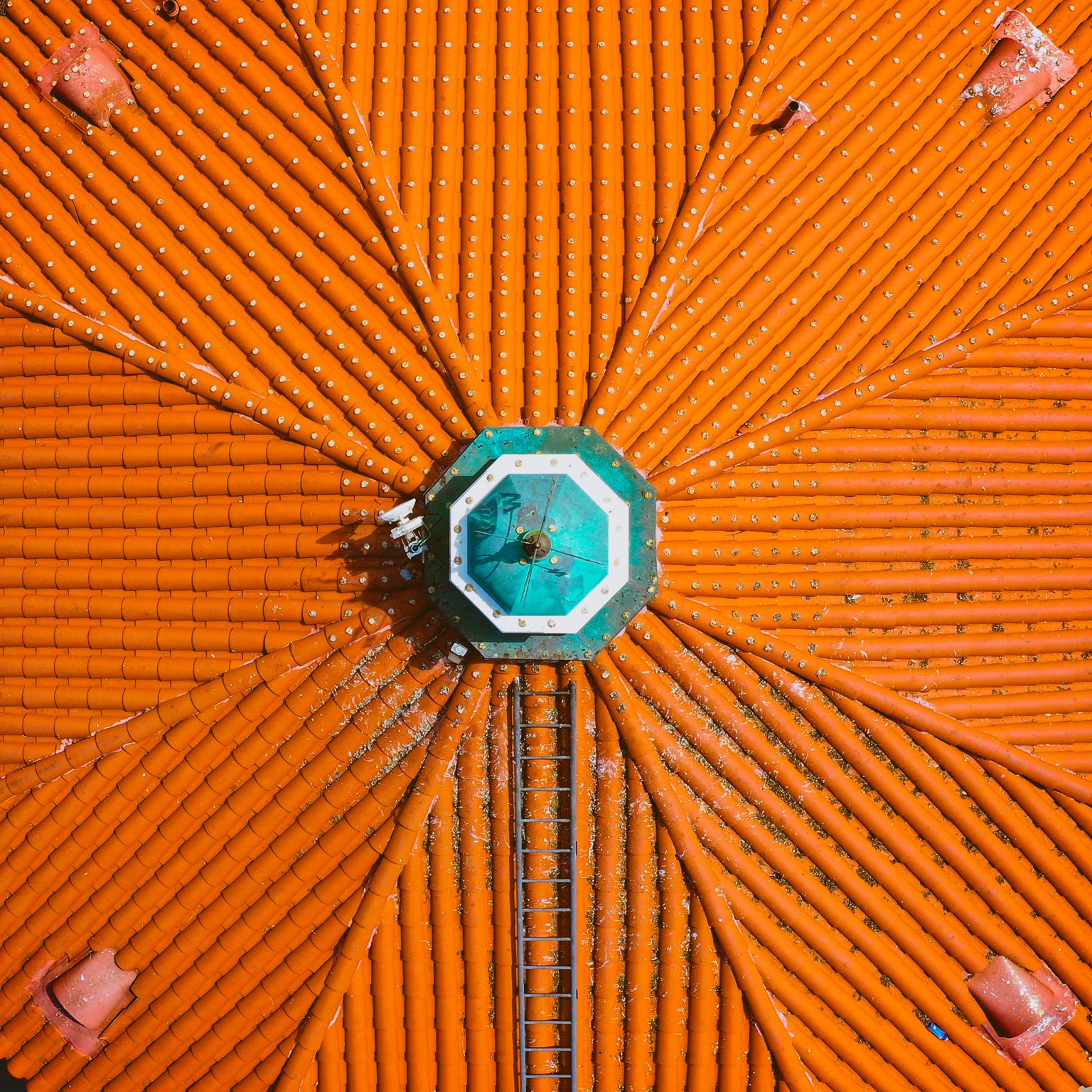 Orange — photograph by Paul Towers