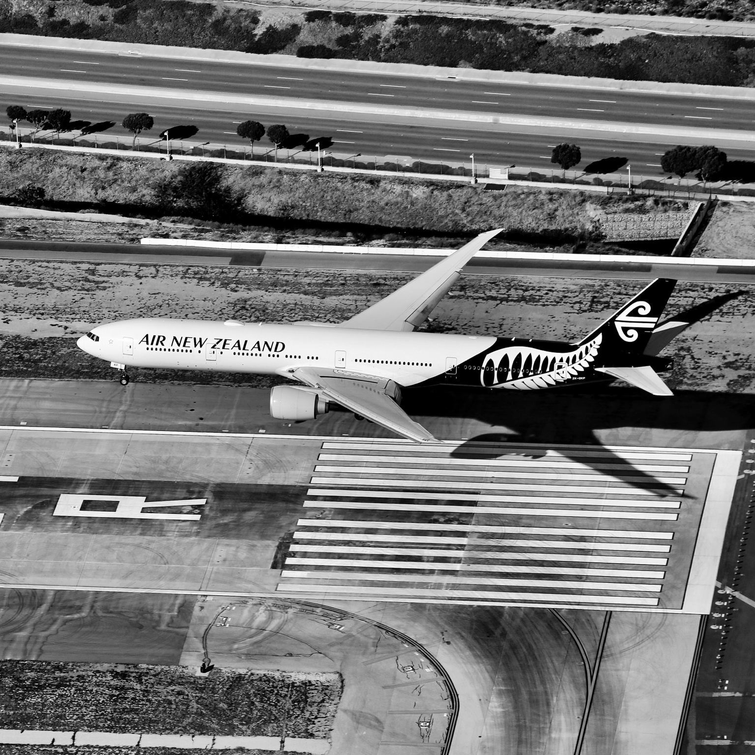 Air New Zealand — photograph by Paul Towers